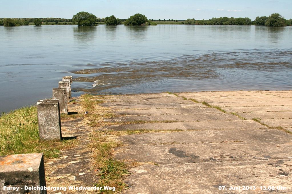 Hochwasser- 2013_06_07-002-Parey-Wiedwerder_Weg.jpg
